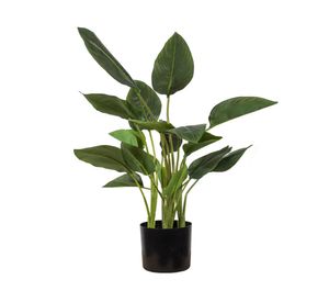 Planta artificial Strelitzia 78 cm