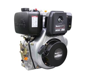 Motor diesel manual 10.5 HP TDE110EXP