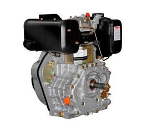 Motor diesel manual 10.5 HP TDE110EXP