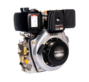 Motor a diésel 296 cc 7.0HP TDE70XP