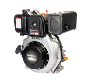 Motor a diésel 296 cc 7.0HP TDE70XP