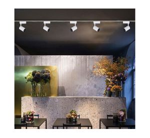 Lámpara de techo LED 30W 1L neutra blanco