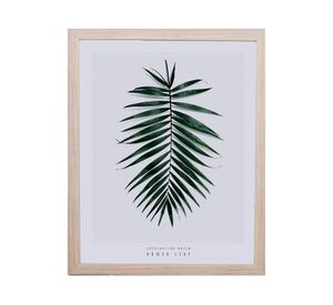 Lamina enmarcada 50x40 cm D1