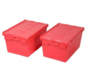 Pack 2 cajas organizadoras PK64315-2RJ rojo 56 lt