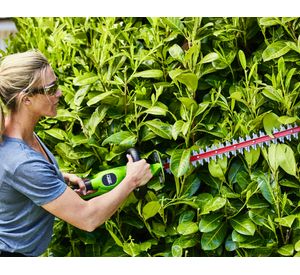 Cortasetos inalambrico 24V