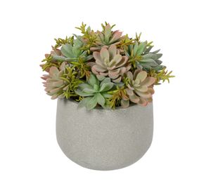 Suculenta Bonsái artificial 23 cm