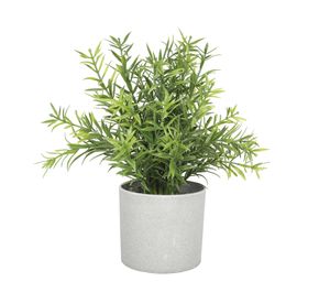 Romero con macetero artificial 20 cm