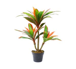 Dracena hoja multicolor artificial 75 cm