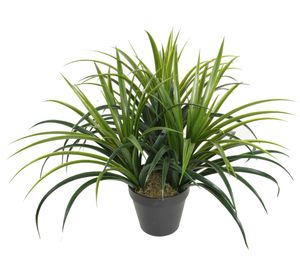 Grass artificial 50 cm