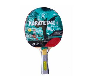 Paleta ping pong 4 Star