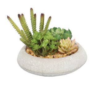 Suculenta artificial 17 cm