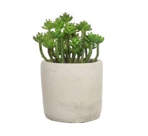 Suculenta con macetero artificial 15 cm