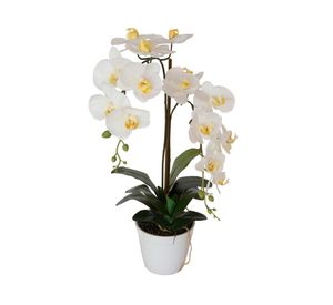 Orquídea blanca artificial 65 cm