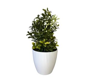 Boj con flores blancas artificial 24 cm