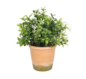 Boj con flores blancas artificial 22 cm