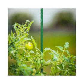 Tutor plantas 90 cm verde