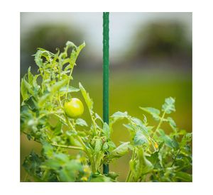 Tutor plantas 90 cm verde