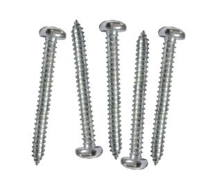 Roscalata cabeza binding inoxidable 10x2" 5 unidades