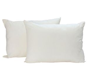 Pack 2 almohadas 50x70 cm pk2-albg beige