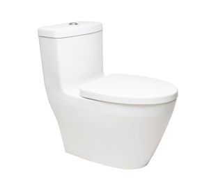 WC one piece piso 30 cm Fonte dual flush blanco