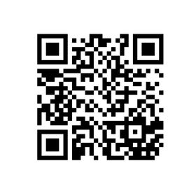 Multistyler SG-8520 Siegen