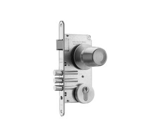 Cerradura embutir pomo acceso inoxidable Poli