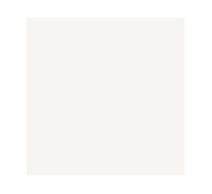 Pintura tizada 1 litro Chalk Paint Blanco Vintage mate