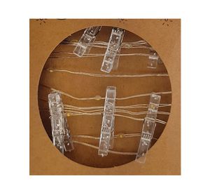 Guirnalda LED 20L clips Ledzone