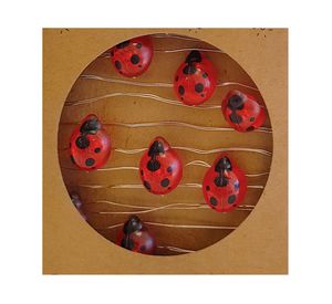 Guirnalda LED 20L chinita Ledzone