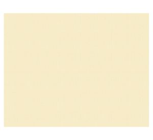 Antideslizante para alfombra 162x270 cm Cotidiana