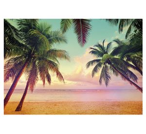 Fotomural Miami 368x254 cm