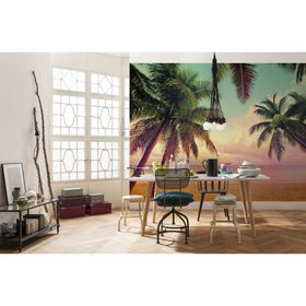 Fotomural Miami 368x254 cm