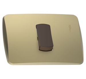 Placa armada con interruptor 16A 9/24 dorado Schneider