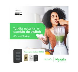Placa ciega Miluz grafito Schneider Electric