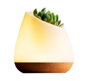 Lámpara sobremesa biotecnológica LED luz cálida