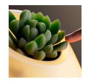 Lámpara sobremesa biotecnológica LED luz cálida