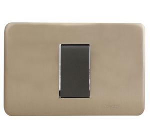 Interruptor conmutador 16 a iridium bonceado Schneider