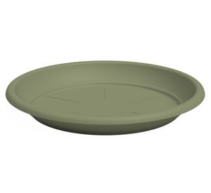 Plato 15 cm plástico Capri eucaliptus