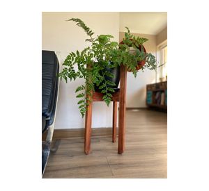 Macetero 24 cm Actual negro