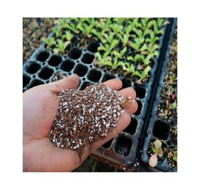 Sustrato Almácigos 10 lt