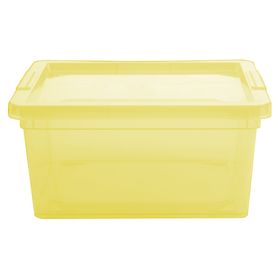 Caja organizadora lima plástico 2 lt