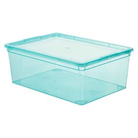 Caja organizadora plástico 11 lt