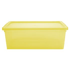 Caja organizadora lima plástico 11 lt