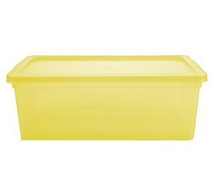 Caja organizadora lima plástico 11 lt