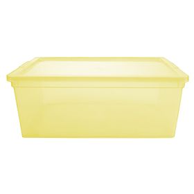Caja organizadora lima plástico 6 lt