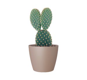 Maceta San Remo taupe 20 cm