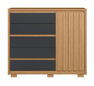 Zapatera Dueto 1 puerta 5 cajones