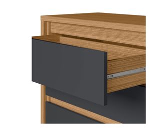 Zapatera Dueto 1 puerta 5 cajones