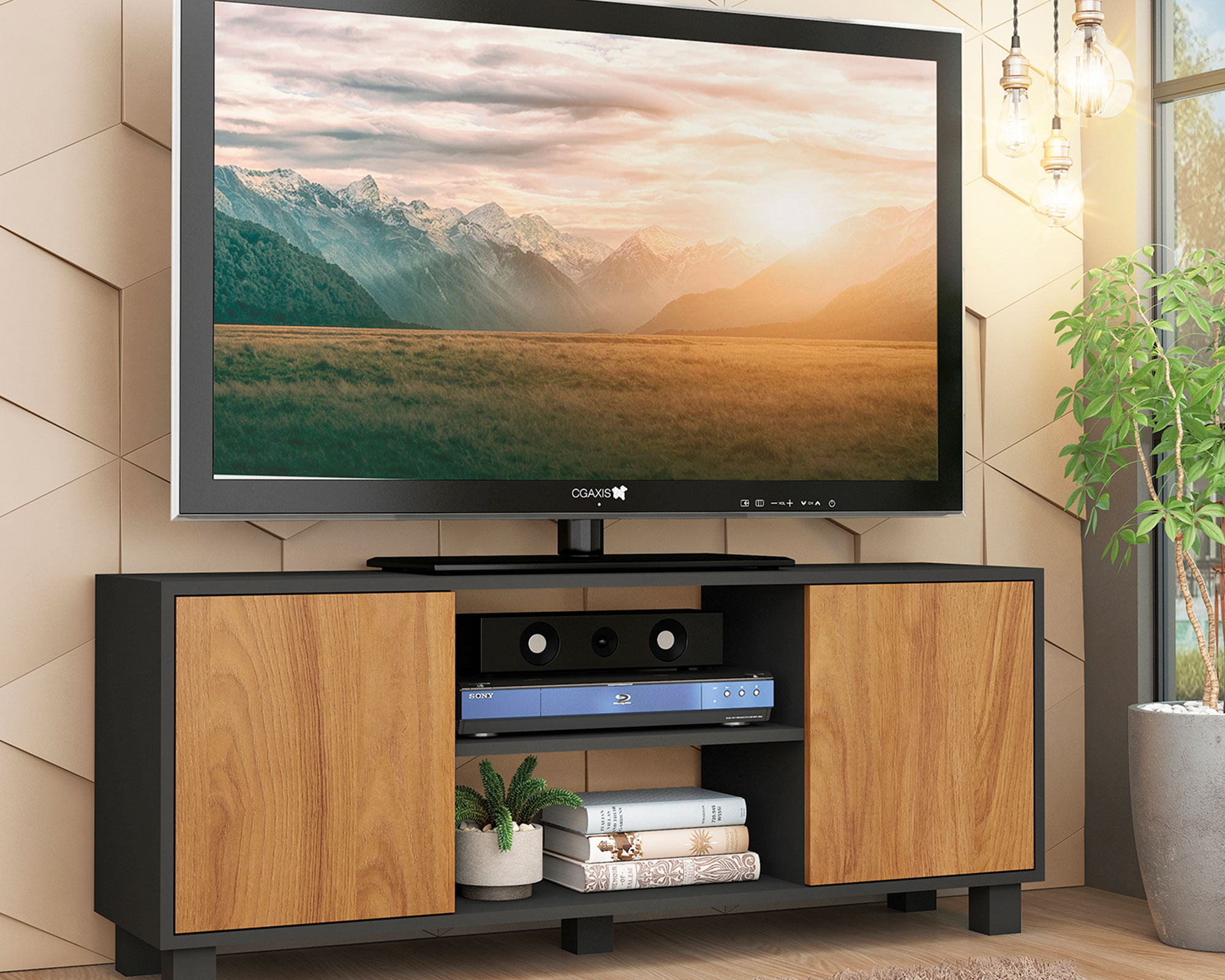 Rack TV 50