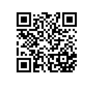 Alisador SG-3540 morado Siegen